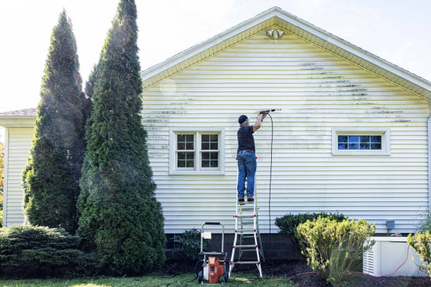 Best Solar Panel Cleaning  in Lecanto, FL